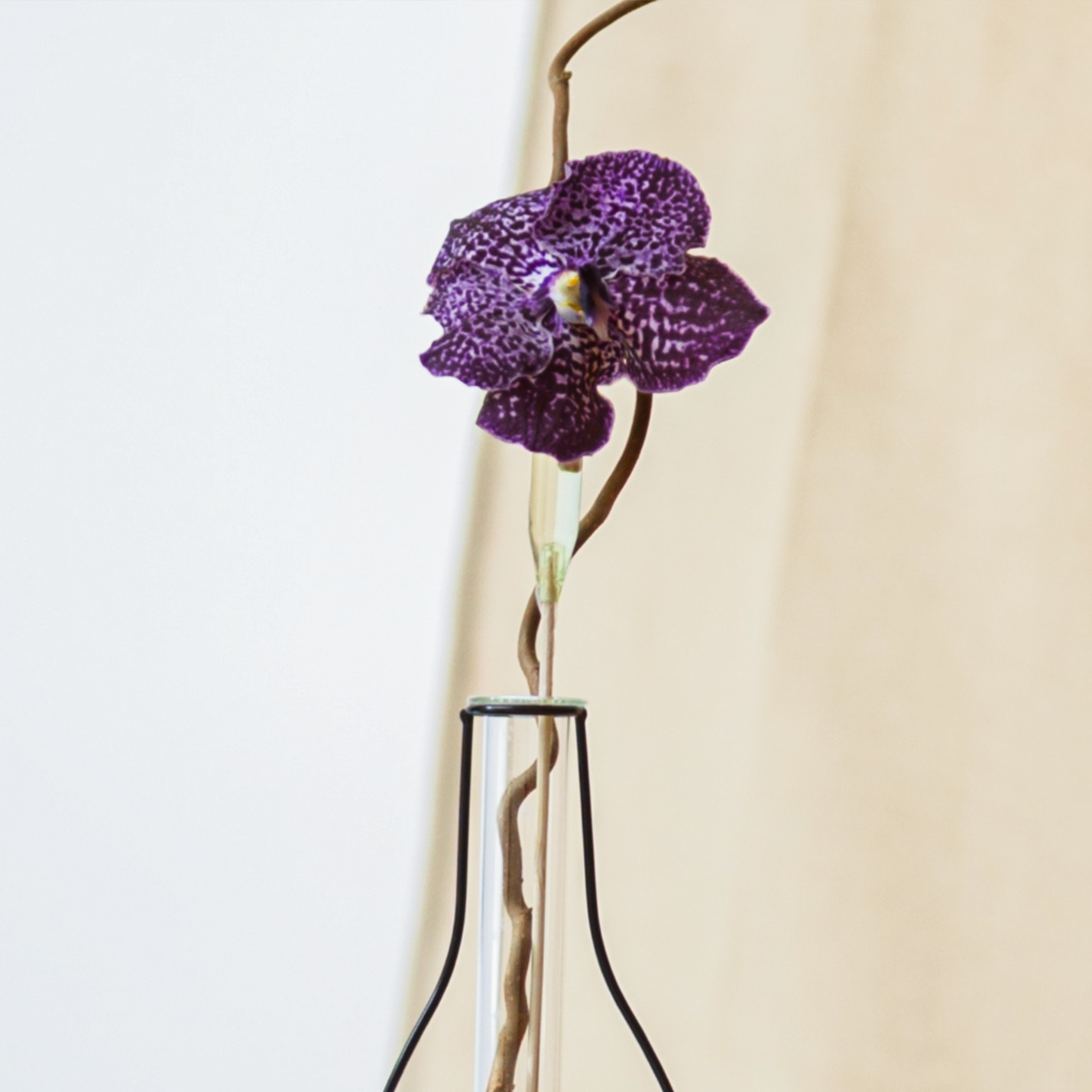 ‘Eiko Ikebana’ Exquisite Haute Florist Next Day Delivery