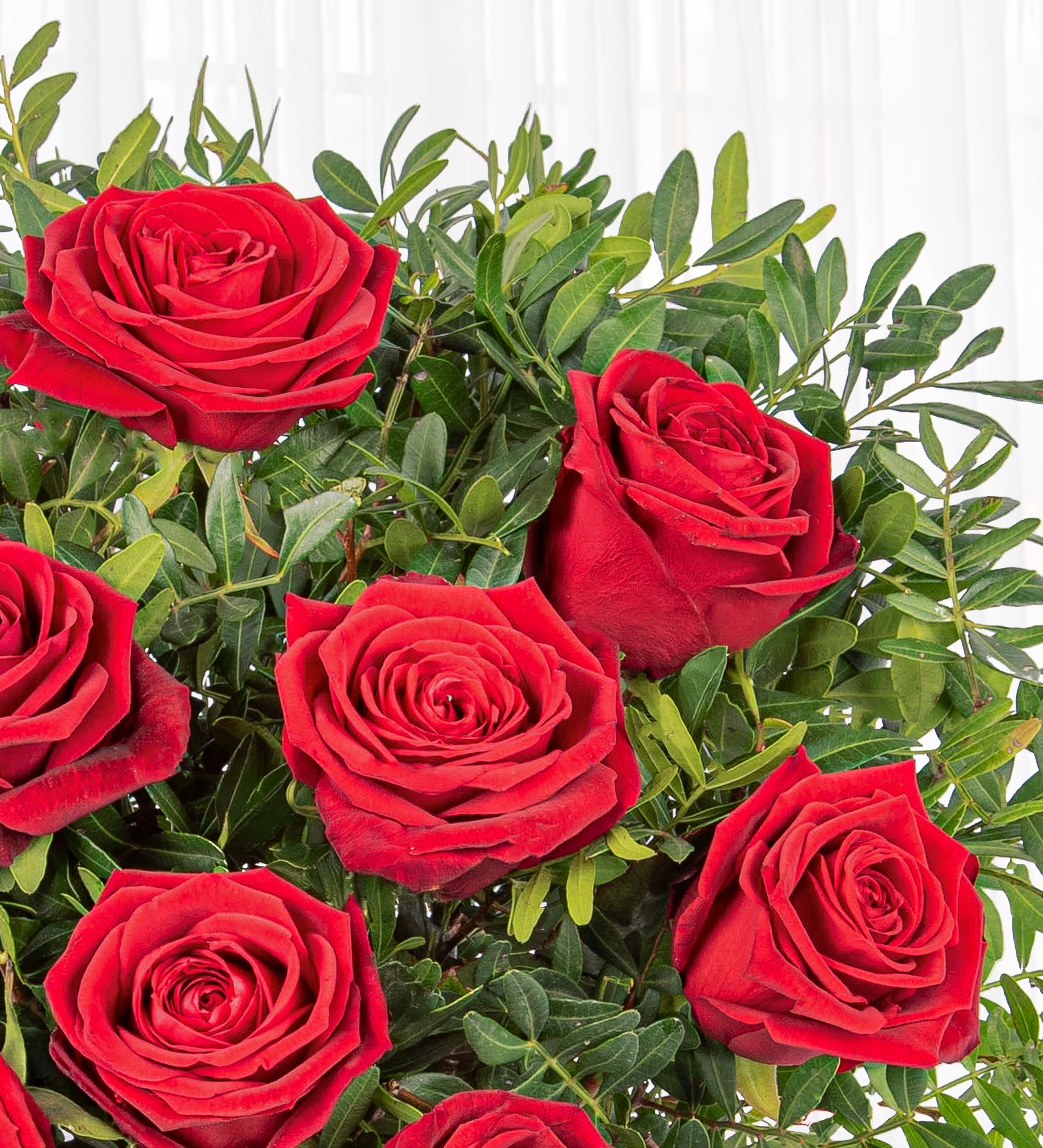 Point Roses Deluxe 10 Luxury Roses | Haute Florist